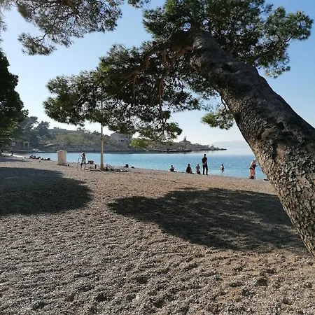 Laura Galileo Blizu Centra I Plaze Lägenhet *